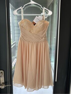 Affair Strapless Lace Bodice Chiffon Dress in Nude